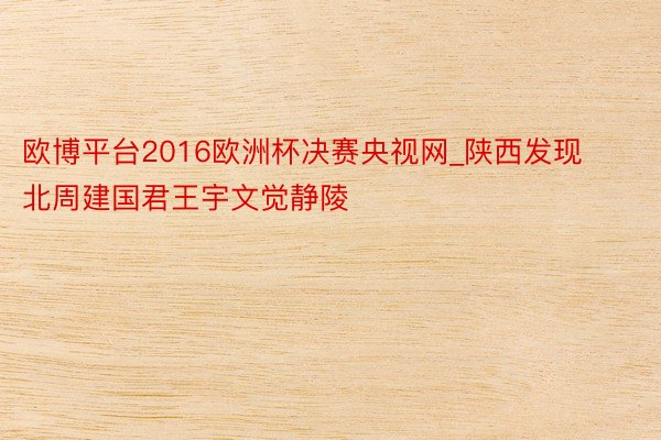 欧博平台2016欧洲杯决赛央视网_陕西发现北周建国君王宇文觉静陵