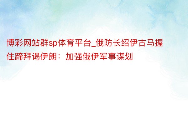 博彩网站群sp体育平台_俄防长绍伊古马握住蹄拜谒伊朗：加强俄伊军事谋划